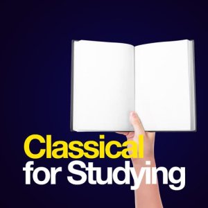 ดาวน์โหลดและฟังเพลง Serenade No. 13 in G Major, K. 525 "Eine kleine Nachtmusik": II. Romanze พร้อมเนื้อเพลงจาก Northern String Quartet