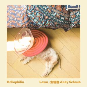 Album Heliophilia from 卢华