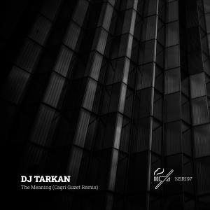 Dengarkan The Meaning (Cagri Guzet Remix) lagu dari DJ Tarkan dengan lirik