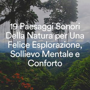 อัลบัม 19 Paesaggi Sonori Della Natura per Una Felice Esplorazione, Sollievo Mentale e Conforto ศิลปิน Relaxamento Sons da Natureza Ruído Branco Musicas Clube