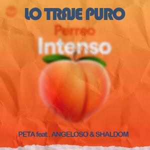 Angeloso的專輯LO TRAJE PURO (feat. PETA & SHALDOM) (Explicit)