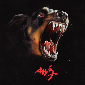 Album AHJ from Albert Hammond Jr