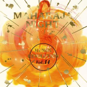 Album MAHARAJA NIGHT HI-NRG REVOLUTION VOL.14 oleh V.A.