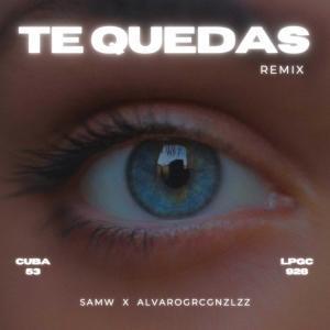Album te quedas (feat. alvarogrcgnzlzz) from Samw