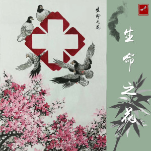 Listen to 生命之花 song with lyrics from 丁晓晖