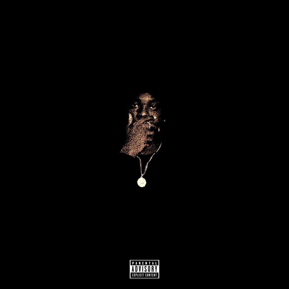 Cop It All (Explicit)