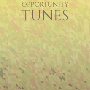 Album Opportunity Tunes from Various