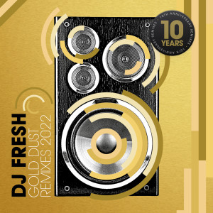 ดาวน์โหลดและฟังเพลง Gold Dust (Fox Stevenson Remix) พร้อมเนื้อเพลงจาก DJ Fresh