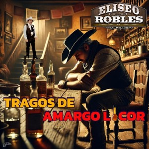 收聽Eliseo Robles的Tragos De Amargo Licor歌詞歌曲