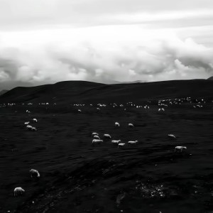 收聽DreamSky的相依爲命 (比伯AI版)歌詞歌曲