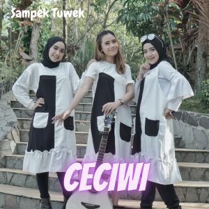 收听Ceciwi的Sampek Tuwek歌词歌曲