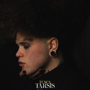 ดาวน์โหลดและฟังเพลง Vieille Amie (Version Acoustique) (Explicit) พร้อมเนื้อเพลงจาก Tusca