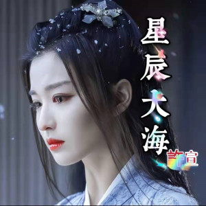 收听许宣的星辰大海（ 抖音dj版）歌词歌曲