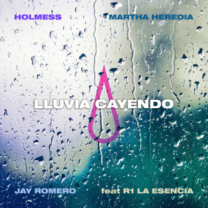 ดาวน์โหลดและฟังเพลง LLUVIA CAYENDO พร้อมเนื้อเพลงจาก Holmess