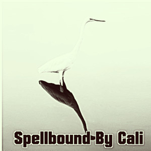 Jimmy Chandler的專輯Spellbound By Cali