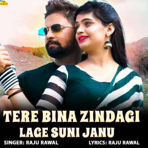 Album Tere Bina Zindagi Lage Suni Janu from Raju Rawal