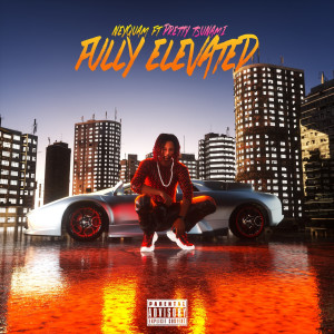 Album Fully Elevated (Explicit) from Neyquam
