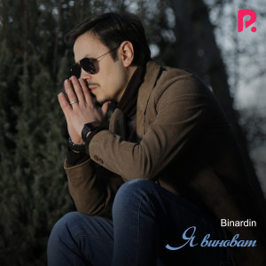 收听Binardin的Я виноват歌词歌曲