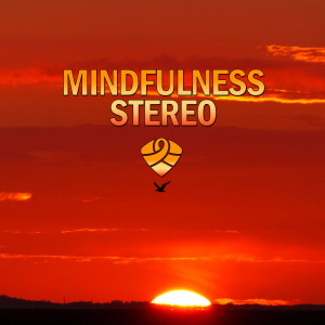 收聽Mindfulness的Cultural Shift歌詞歌曲