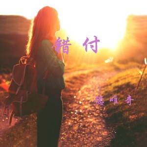 Album 错付 from 德唯奇