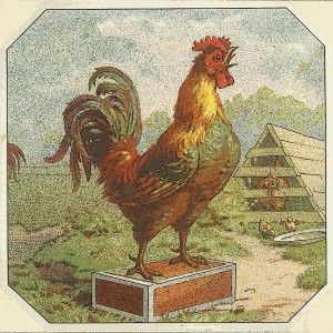 Korla Pandit的專輯Flapping Wings