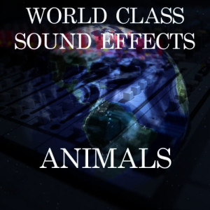 อัลบัม World Class Sound Effects 2 - Animals ศิลปิน World Class Sound Effects