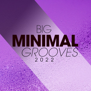 Album Big Minimal Grooves 2022 from ALFIE