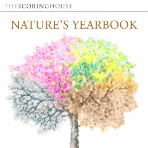 Mark Revell的專輯Nature's Yearbook (Original Score)
