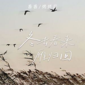 Album 冬去春来雁归回 from 番番