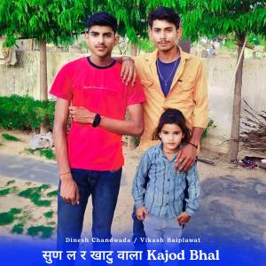 ดาวน์โหลดและฟังเพลง सुण ल र खाटु वाला พร้อมเนื้อเพลงจาก Dinesh Chandwada