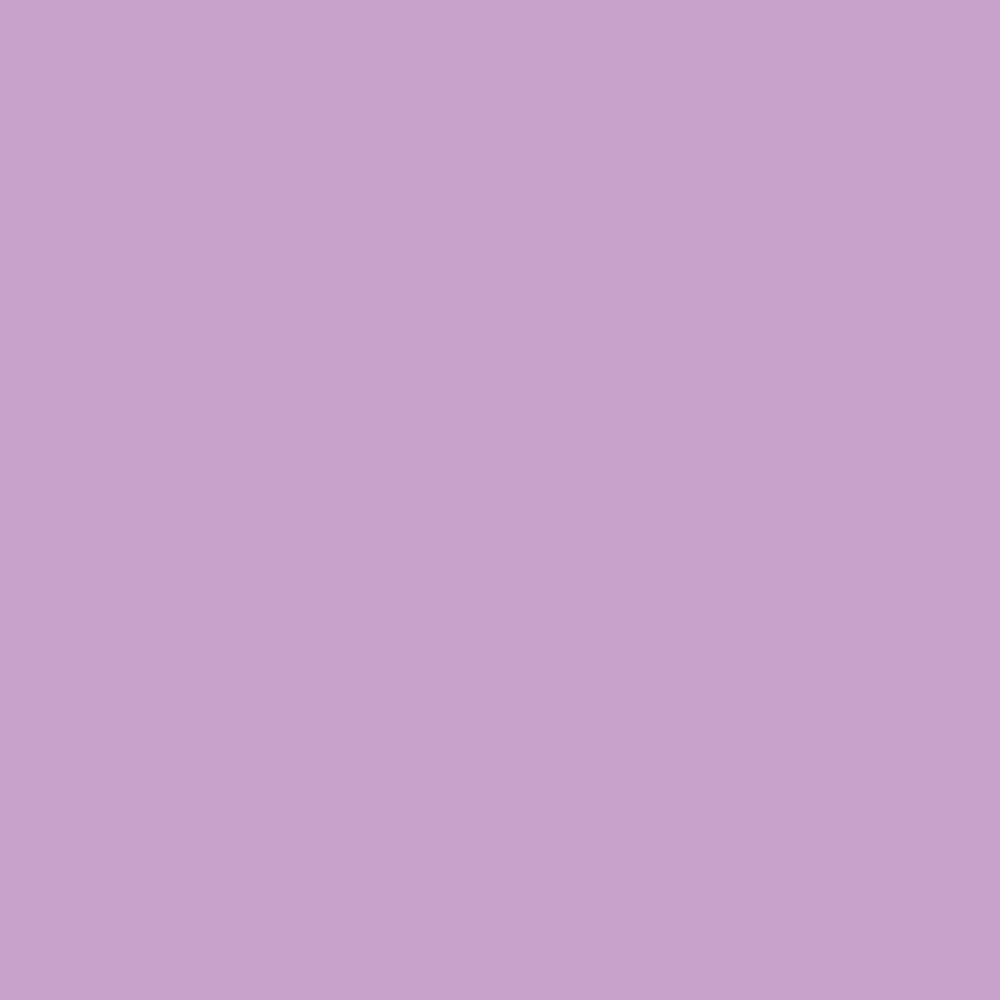 lilacs! (Explicit)