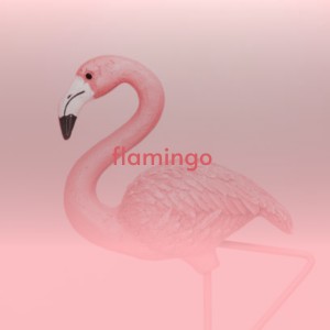 Dengarkan Flamingo lagu dari Cannonball Adderley dengan lirik