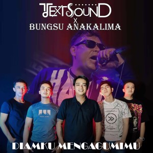 Listen to DIAMKU MENGAGUMIMU (Remastered 2024) song with lyrics from TEXT SOUND