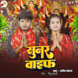 Album Sunar Wife from Amit Chauhan