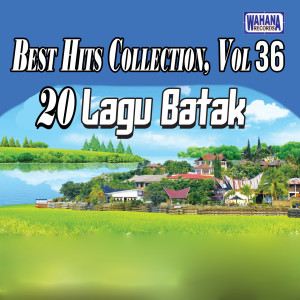 Various Artists的专辑Best Hits Collection, Vol. 36
