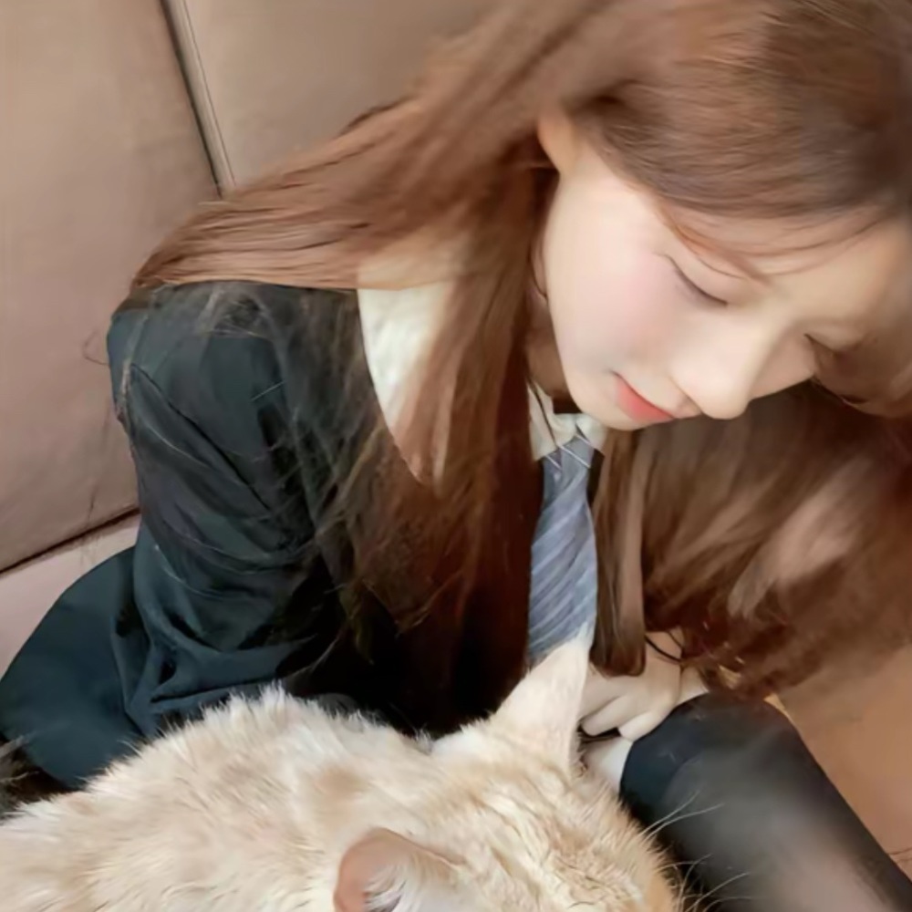 小刺猬