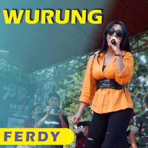 Ferdy的專輯Wurung