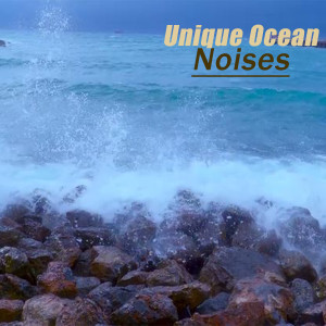 Unique Ocean Noises