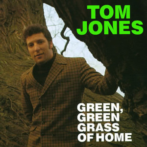 ดาวน์โหลดและฟังเพลง Green Green Grass Of Home พร้อมเนื้อเพลงจาก Tom Jones