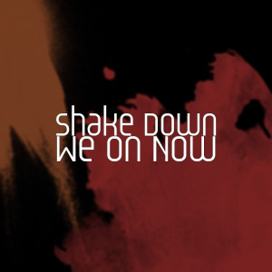 Album We on Now (Explicit) from Shake Down