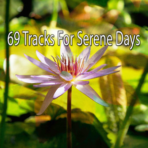 Zen Meditation and Natural White Noise and New Age Deep Massage的專輯69 Tracks for Serene Days