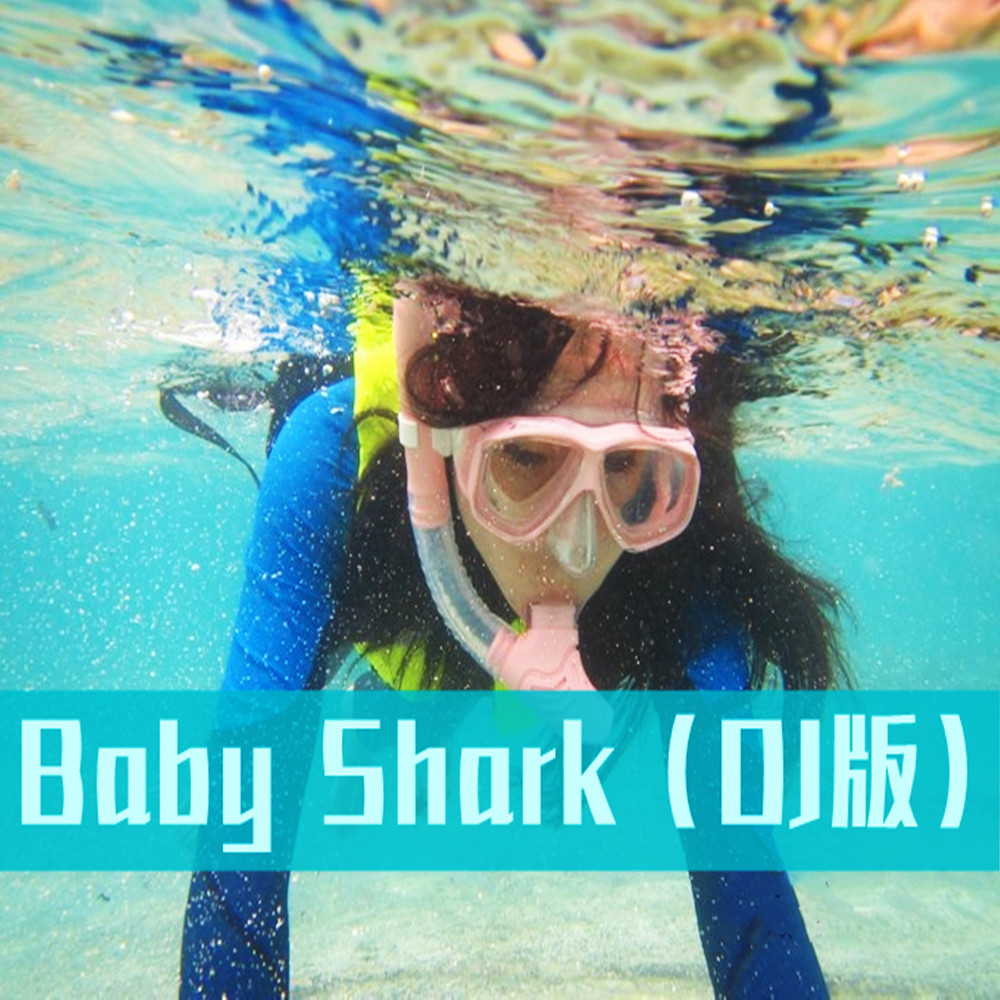 Baby Shark (DJ版)