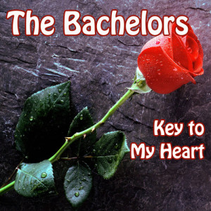 收聽The Bachelors的Killing Me Softly歌詞歌曲