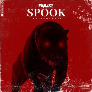 Listen to Spook song with lyrics from Prbjxt