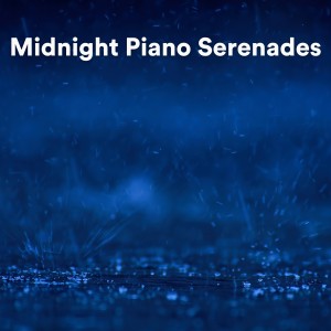 收听Rain Sounds Nature Collection的Moonlit Piano Lullabies (Piano Rain for Sleep)歌词歌曲