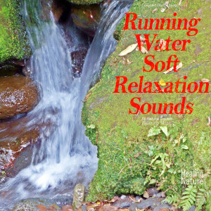 Listen to 편안하게 해주는 잔잔하게 흐르는 물소리 Gentle Rivers Streams Nature Sound Relaxing Water Calm song with lyrics from 힐링 네이쳐 Nature Sound Band