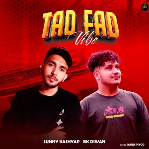 Listen to Tad Fad Vibe song with lyrics from Bk Diwan