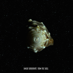 Emilio Sorridente的专辑From The Shell