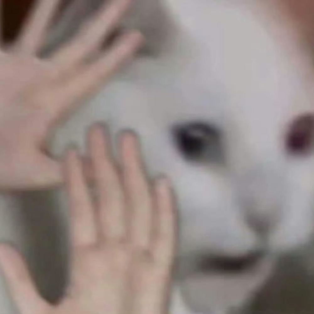 城政