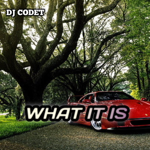 Album WHAT IT IS from 